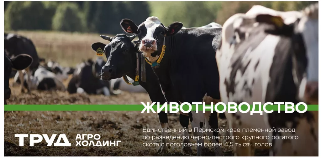 молоко сырое в Перми и Пермском крае
