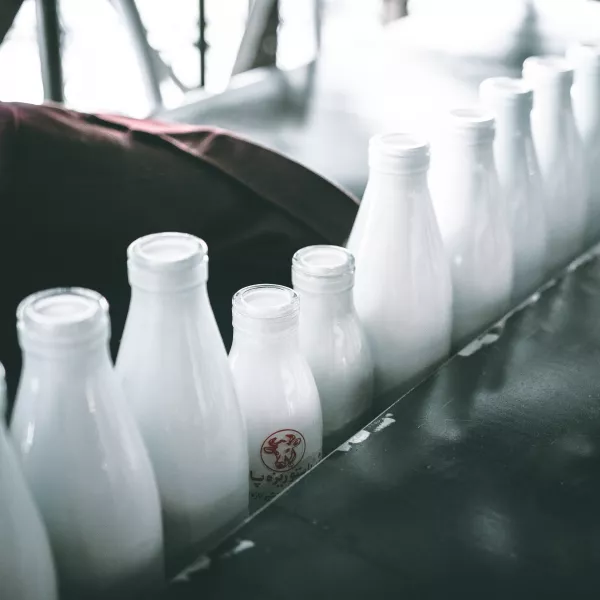 В Пермском крае предприниматель привлечен к ответственности за производство и реализацию фальсифицированной молочной продукции неизвестного происхождения